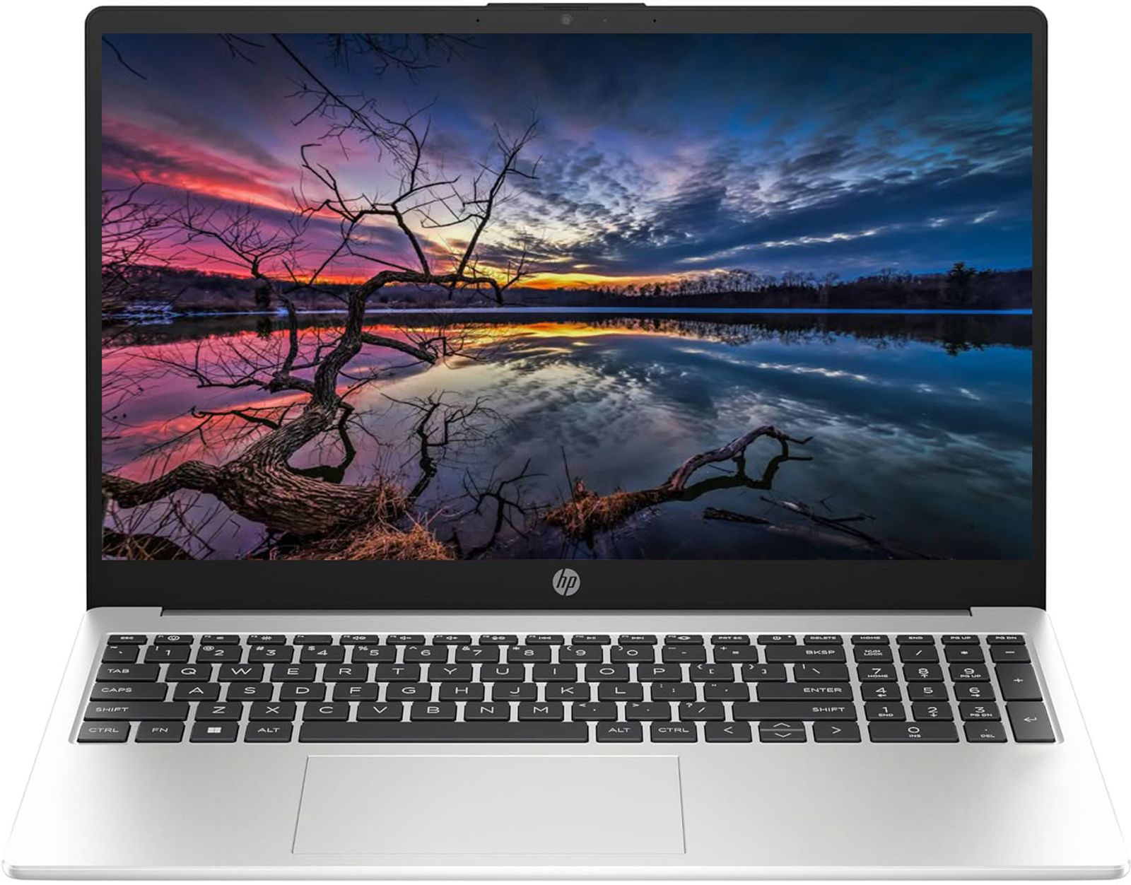 HP Professional Laptop
